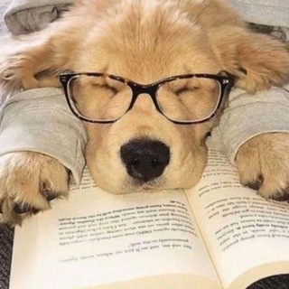 Telegram profile photo for Bac 2026