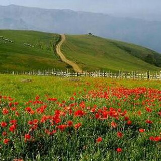 Telegram profile photo for طبیعتگردی ایران زمین