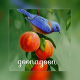Telegram profile photo for 😁 گوناگون 😍