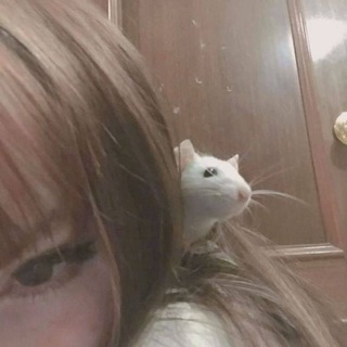 Telegram profile photo for 𝙎𝙤𝙡𝙚𝙫𝙤𝙮