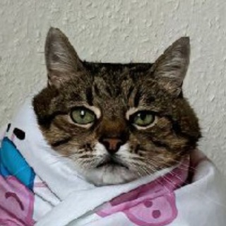 Telegram profile photo for Пепсі