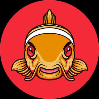 Telegram profile photo for Nemo Sum