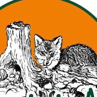 Telegram profile photo for Wildnisschule Allgäu