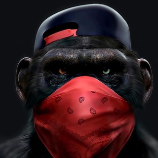 Telegram profile photo for Crazy ape calls