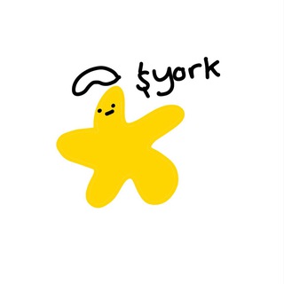 Telegram profile photo for york