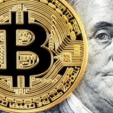 Telegram profile photo for TJs Trades 1.0