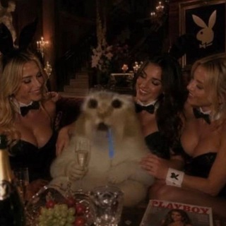 Telegram profile photo for Парколай Горькорев