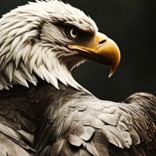 Telegram profile photo for كروب المعهد العالي الدوره 32