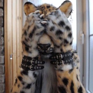 Telegram profile photo for furrymogger