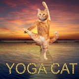 Telegram profile photo for 🧸 YOGA SPIRIT - belove.ch