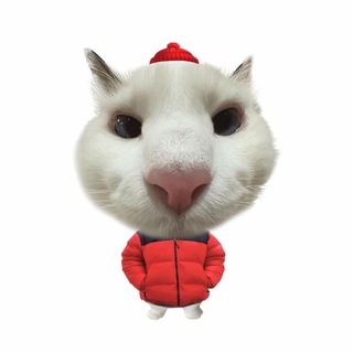 Telegram profile photo for I' OPEN ✱