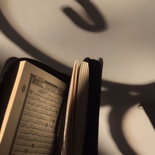 Telegram profile photo for 𝐒𝐞𝐫𝐥𝐨