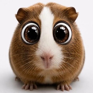 Telegram profile photo for Переходник