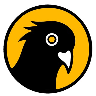 Telegram profile photo for Felix Rex