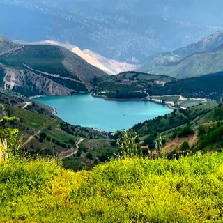 Telegram profile photo for نجباء