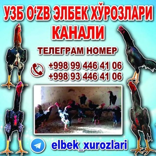 Telegram profile photo for УЗБ O'ZB ЕЛБЕК ХУРОЗЛАРИ
