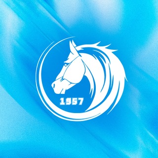 Telegram profile photo for OQJETPES FK