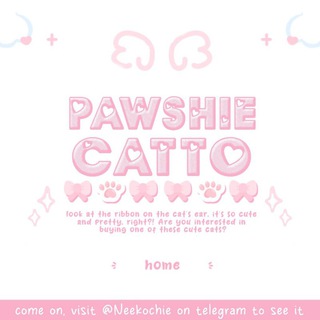 Telegram profile photo for 아기’ 🎀 𓊆 𝓟awshie—catto 𓂂 𓂂