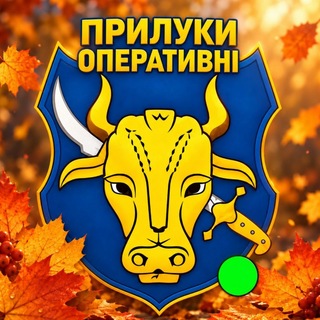 Telegram profile photo for 🛡 Прилуки Оперативні