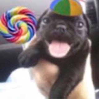 Telegram profile photo for Святая tушёнка