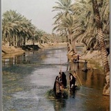 Telegram profile photo for اَحجَايَات اَهْلِنَا