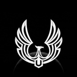 Telegram profile photo for _777