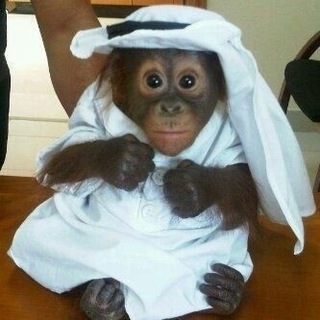 Telegram profile photo for я не кусачка