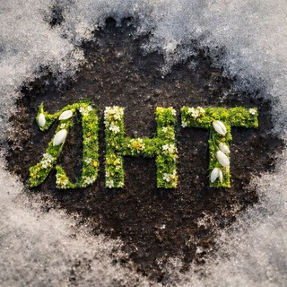 Telegram profile photo for Дом народного творчества Санкт-Петербурга