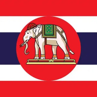 Telegram profile photo for 🇹🇭泰国素材【@dingzhi926小萌】