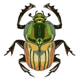 Telegram profile photo for The Insect Cabinet