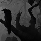 Telegram profile photo for ل رويد