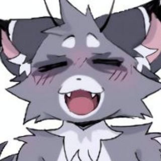 Telegram profile photo for прайс и персонажи енотиаааа