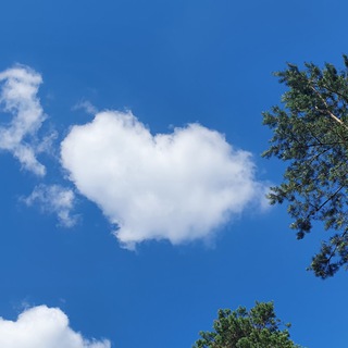 Telegram profile photo for 💛💙🍀🦋💗Endstation Liebe💗🦋🍀💙💛