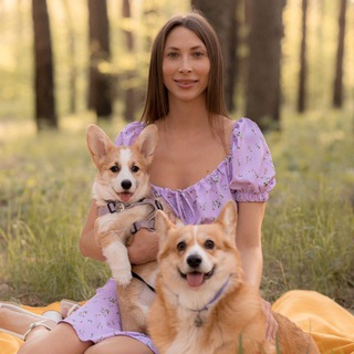 Telegram profile photo for mom.corgi