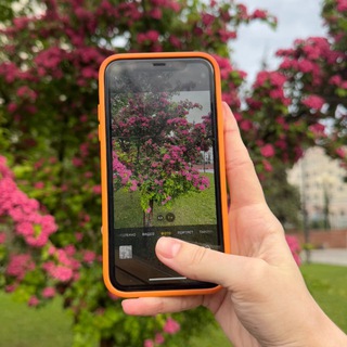 Telegram profile photo for На улицах Белгорода