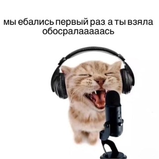 Telegram profile photo for суета воровская