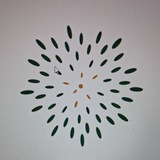 Telegram profile photo for Spirit Hills Bali