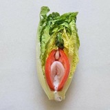 Telegram profile photo for Vegan Jo’s Degen Plays