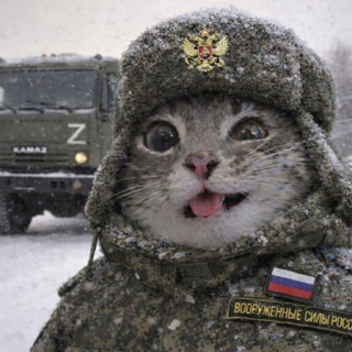 Telegram profile photo for Блогер с лн