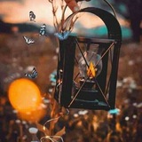 Telegram profile photo for آ̀ط̀́ﻣئـن̀ـآ̀ن̀ ❥♡