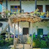 Telegram profile photo for grand mother house