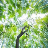 Telegram profile photo for خواستن و برخاستن