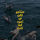 Telegram profile photo for همسة وضحكة