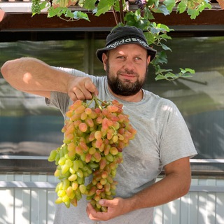 Telegram profile photo for Andrey.grapes