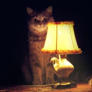 Telegram profile photo for Настало время