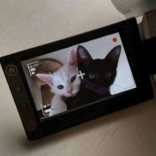 Telegram profile photo for sueta s iskoi