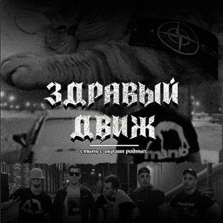 Telegram profile photo for Здравый движ