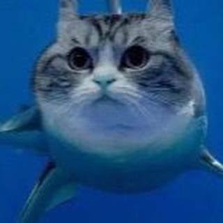 Telegram profile photo for Hall Of Shame | Позорники Всея РКГД