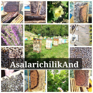 Telegram profile photo for ASAL Oliy Neʼmat 🐝🍯 🐝 🇺🇿