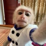 Telegram profile photo for преисподняя кьюан!кса